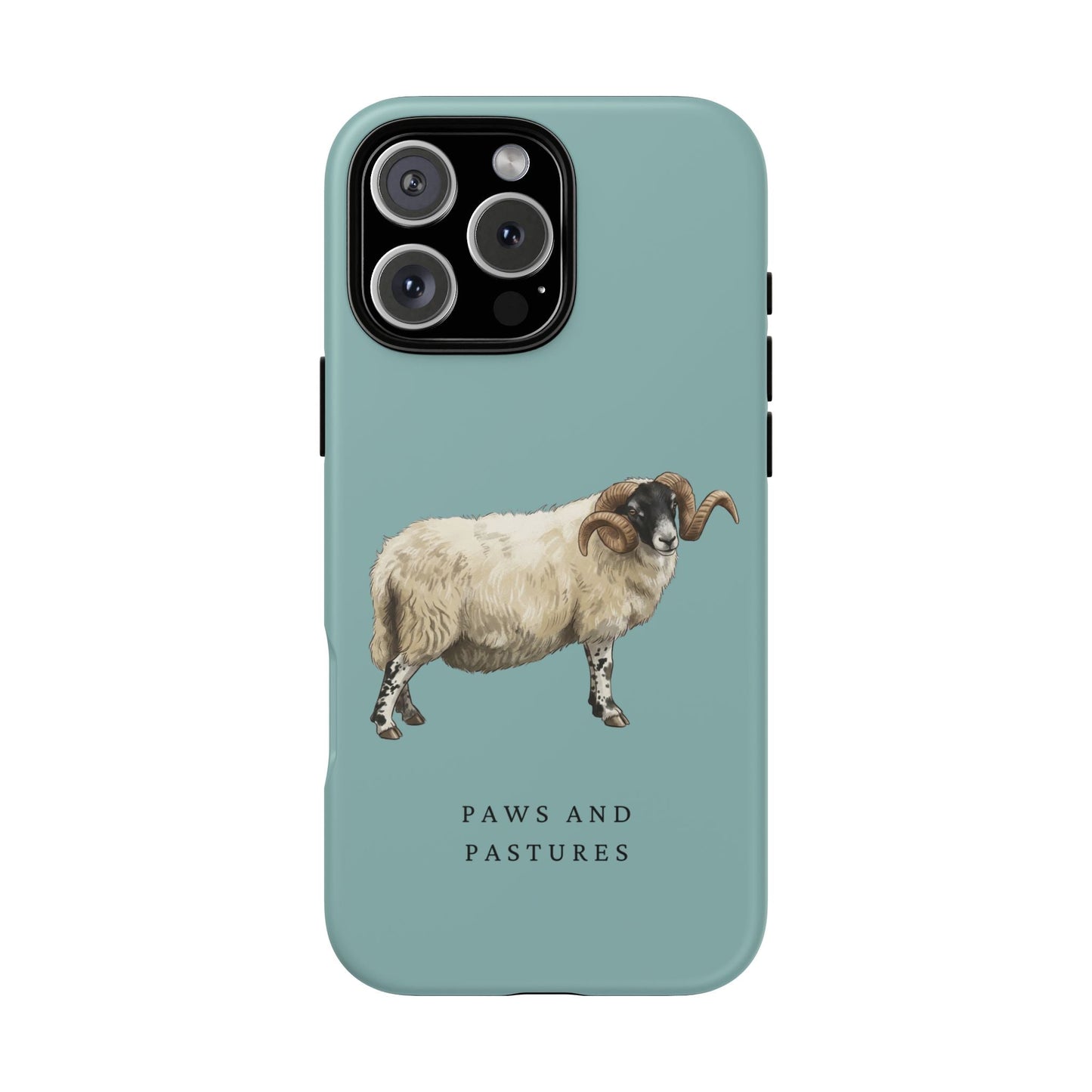Scottish Blackface Sheep iPhone Case