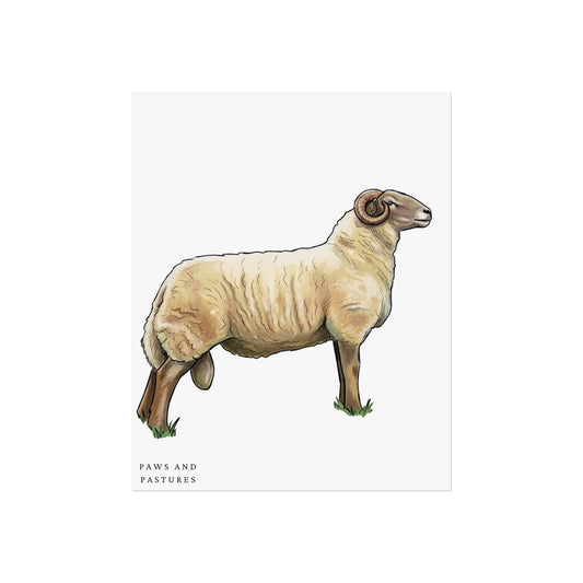 Radnor Sheep Fine Art Poster — Paws and Pastures Farm Animal Print