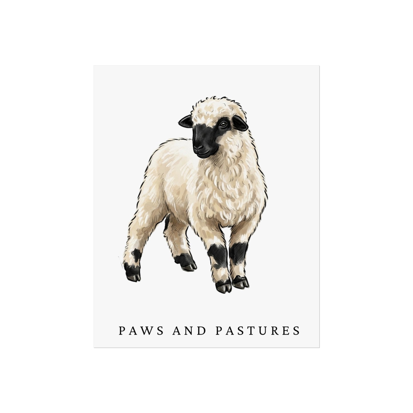 Valais Blacknose Sheep Art Print