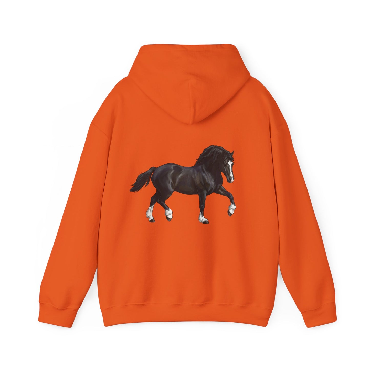 Black Horse Graphic Hoodie — Equestrian Sweatshirt with Prancing Stallion Print
