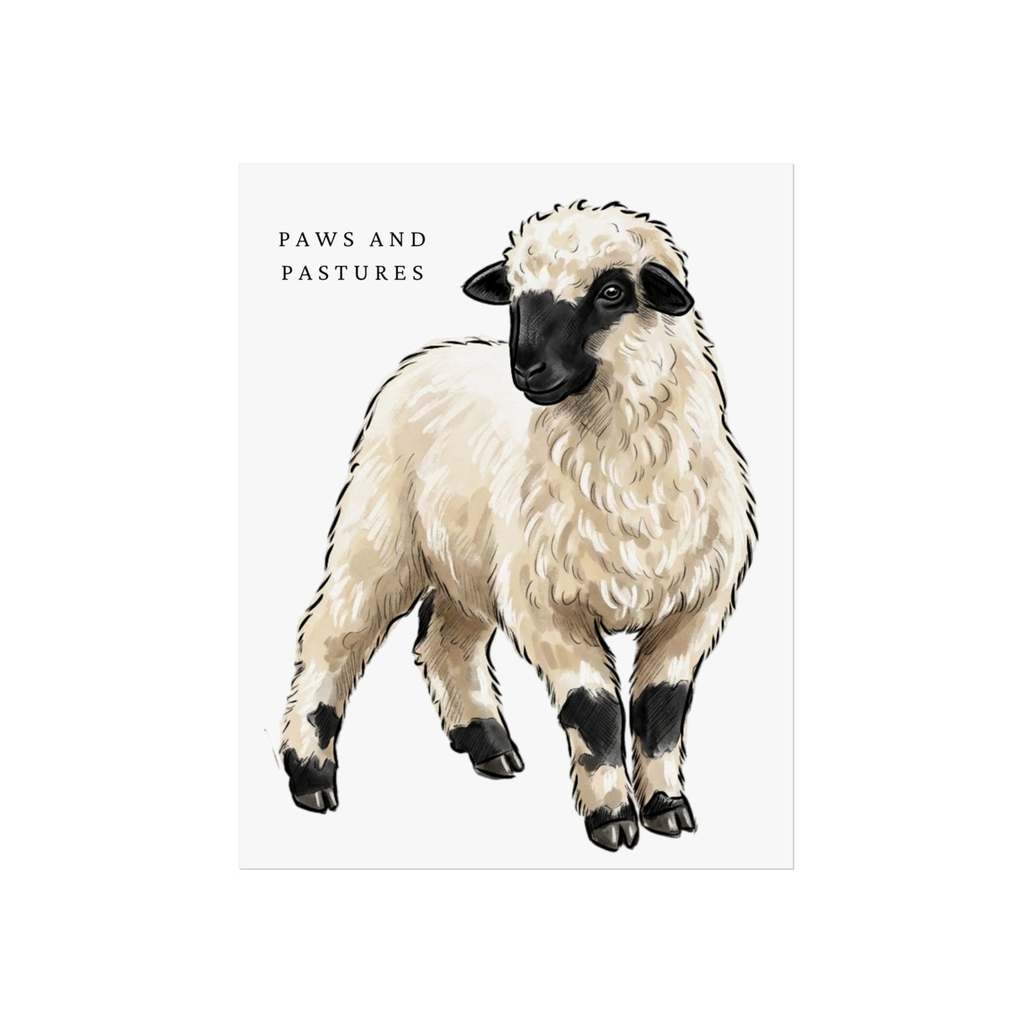 Valais Blacknose Sheep Portrait Fine Art Poster — 'Paws and Pastures' Rustic Farmhouse Wall Art