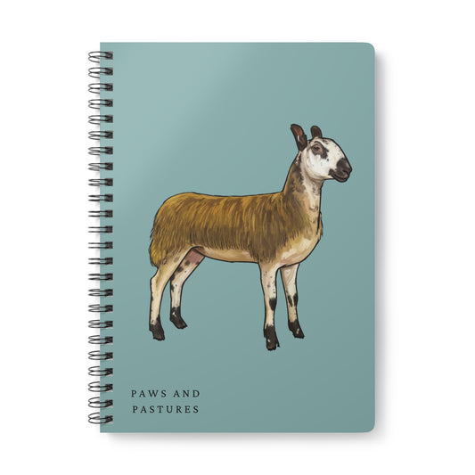 Blue Faced Leicester Sheep Illustration A5 Spiral Notebook — "Paws and Pastures" Lined Journal
