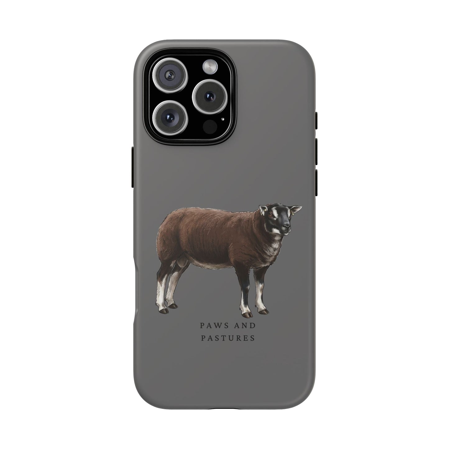 Badger Face Texel Sheep iPhone Case
