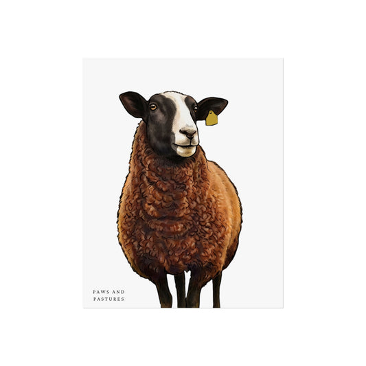 Zwartble Sheep Fine Art Poster