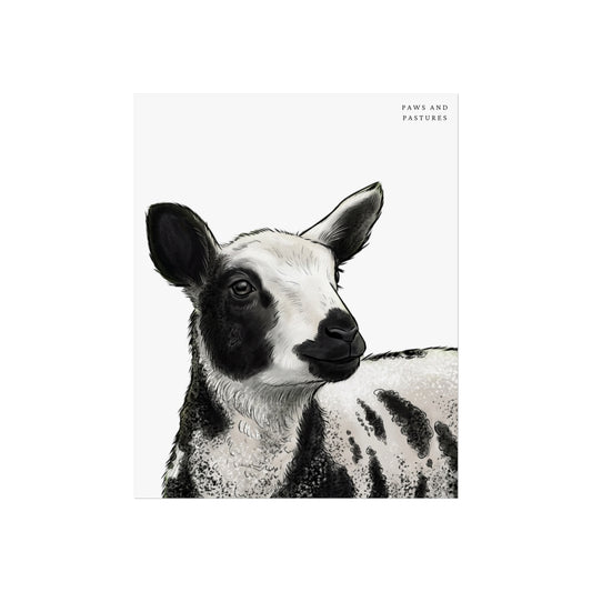 Dutch Spotted Sheep Fine Art Poster.