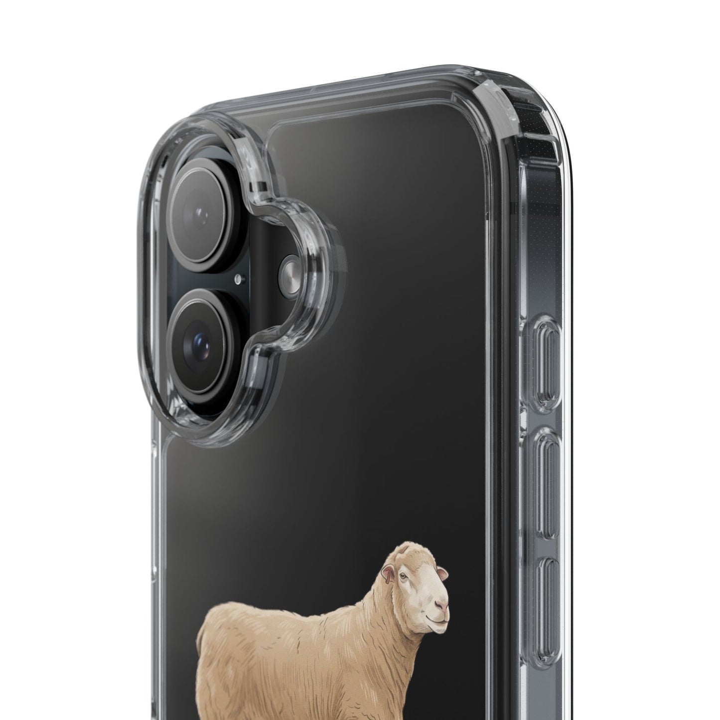 Dorset Sheep iPhone Case