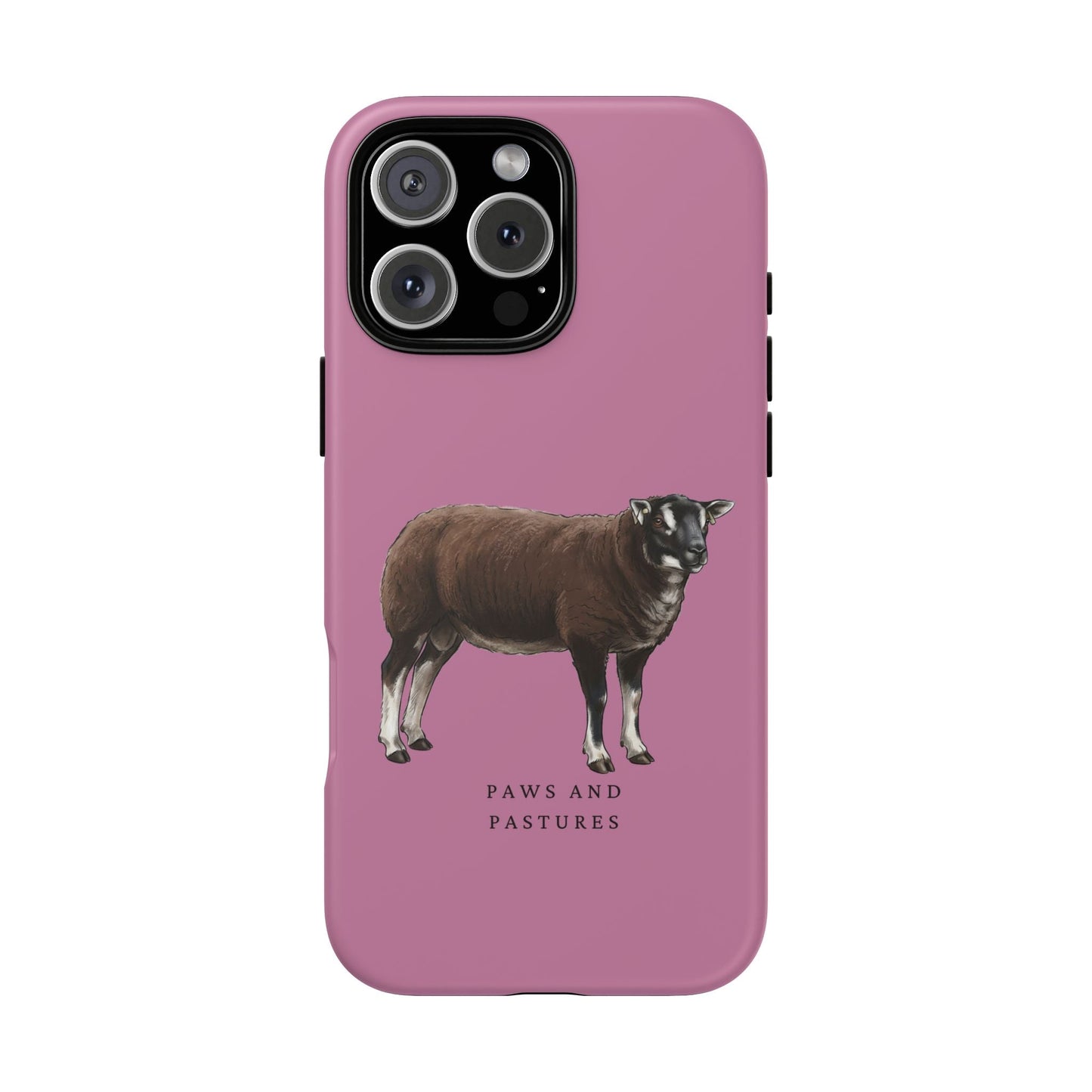 Badger Face Texel Sheep iPhone Case