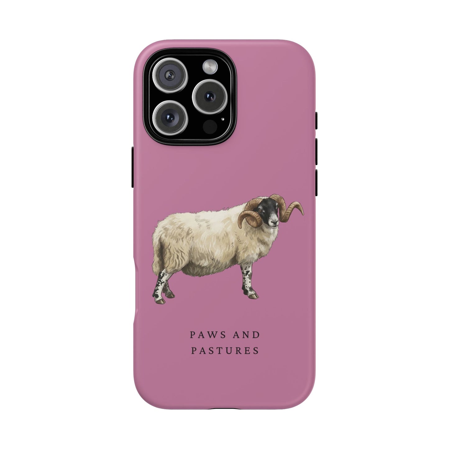 Scottish Blackface Sheep iPhone Case