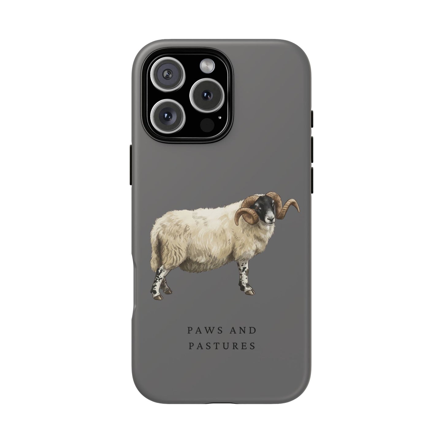 Scottish Blackface Sheep iPhone Case